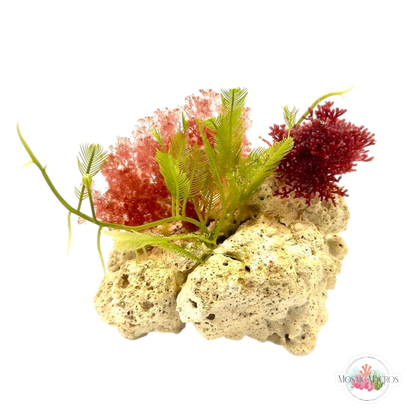 WYSWYG Flamingo Feather, Iridescent Laurencia, & Caulerpa (Naturally Attached)