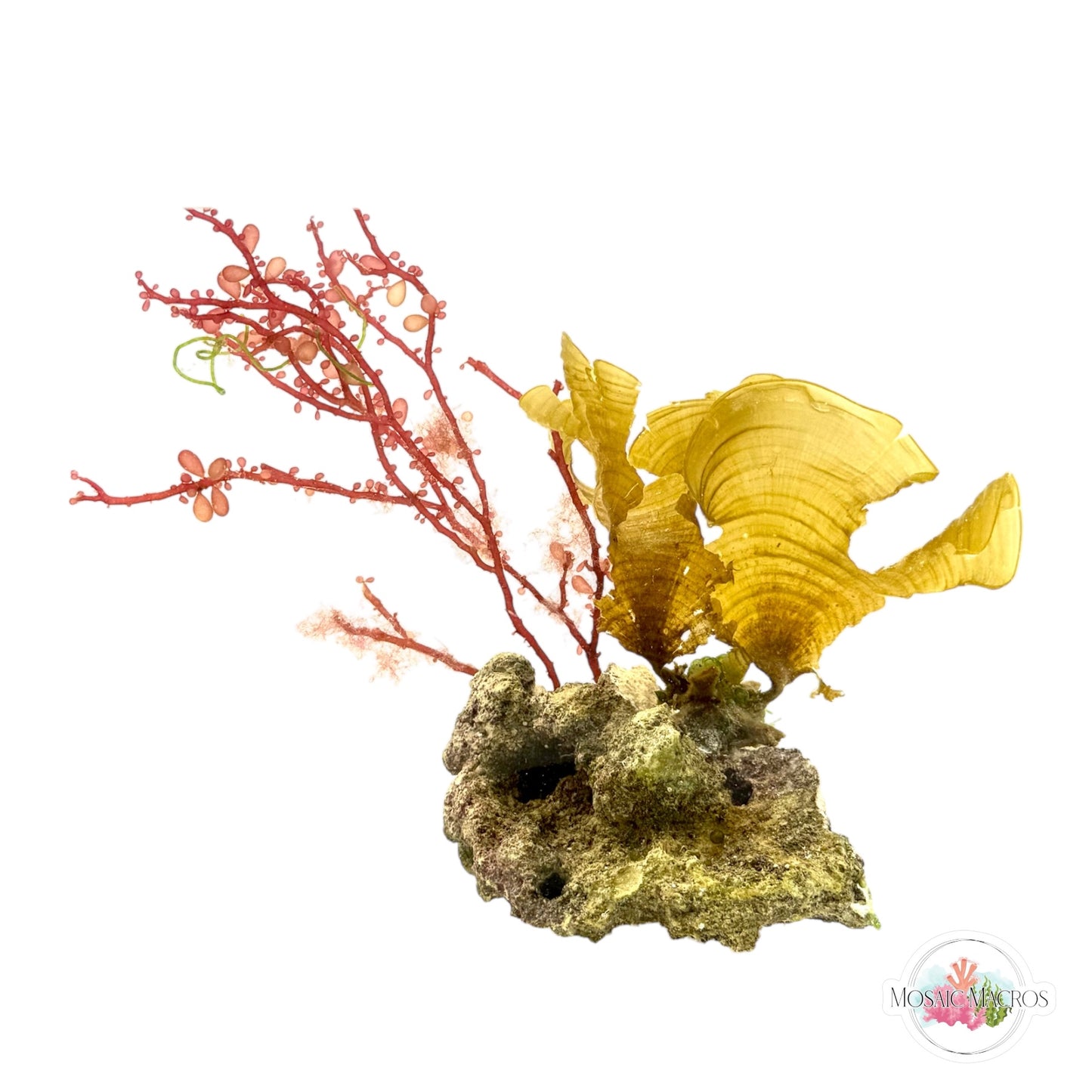 WYSWYG Red Grape & Golden Scroll