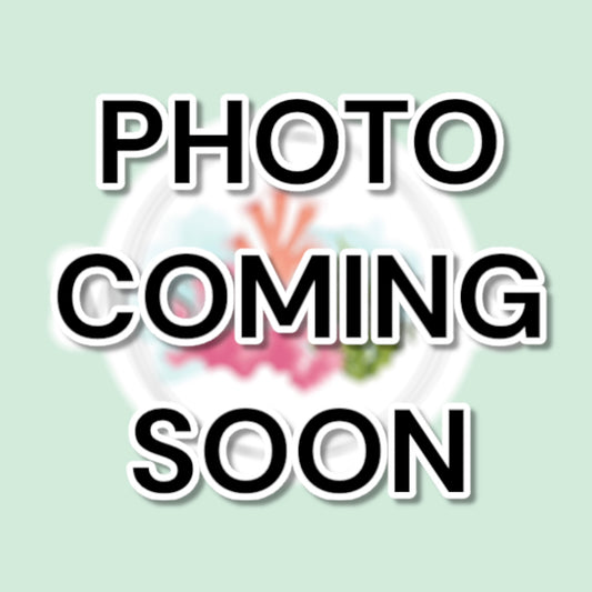 Red Beard Sponge | Clathria prolifera
