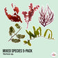 5-Pack Macro Algae Sampler | Various Species