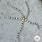Harlequin Serpent Star | Ophioderma appressa