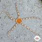 Orange-Body Serpent Star | Ophiolepis elegans