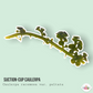 Suction Cup Caulerpa Macroalgae | Caulerpa racemosa var. Peltata