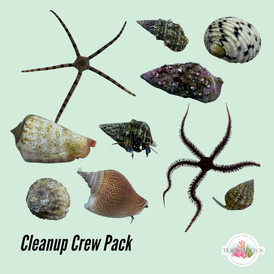 Cleanup Crew Pack