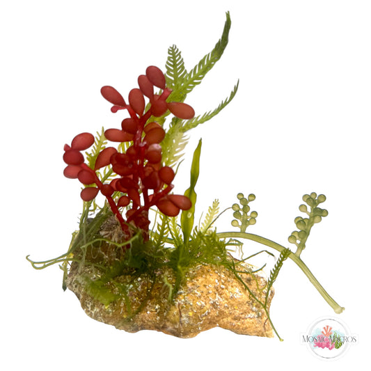 WYSWYG Red Grape & Caulerpa (Naturally Attached to Rock)