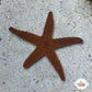 Orange Fromia Starfish | Fromia milleporella