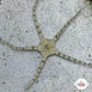 Giraffe Serpent Star | Ophiuroids spp.