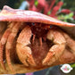 Blue-Eyed Hermit Crab | Paguristes sericeus