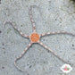 Orange-Body Serpent Star | Ophiuroids spp.