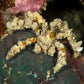Spider Decorator Crab | Camposcia sp.