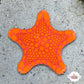Australian Biscuit Starfish | Tosia australis
