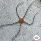 Orange-Body Serpent Star | Ophiuroids spp.