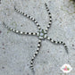 Harlequin Serpent Star | Ophiuroids spp.