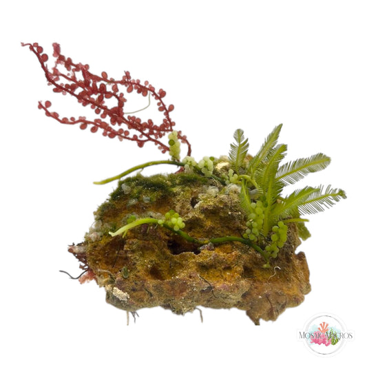 WYSWYG Red Grape & Caulerpa (Naturally Attached)