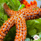 Indigo Ridge Reef Starfish | Echinaster spinulosus