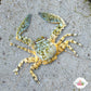 Colorful Porcelain Crab | Petrolisthes galathinus/armatus