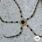 Zebra Serpent Star | Ophiolepis superba