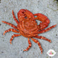 Ruby Mithrax Crab | Mithraculus forceps