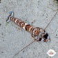 Tiger Pistol Shrimp | Alpheus bellulus