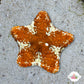 Biscuit Starfish | Tosia sp.