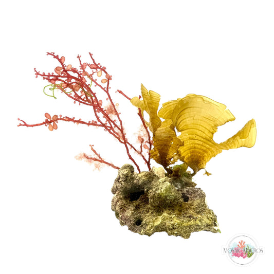 WYSWYG Red Grape & Golden Scroll