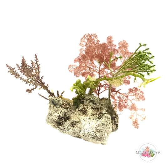 WYSWYG Flamingo Feather, Jointed Tuft, Laurencia, & Caulerpa