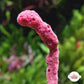 Strawberry Rope Sponge | Amphimedon nodosa