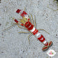 Randall’s Pistol Shrimp | Alpheus randalli
