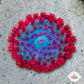 Saint Thomas Mushroom | Rhodactis sanctithomae