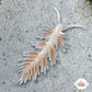 Aiptasia-Eating Nudibranch | Berghia sp.