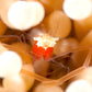 Crown Anemone Shrimp | Cuapetes kororensis