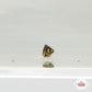 Micro Trochus Snail | Trochus sp.